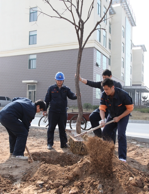 济矿民生热能“学习雷峰、义务植树”活动