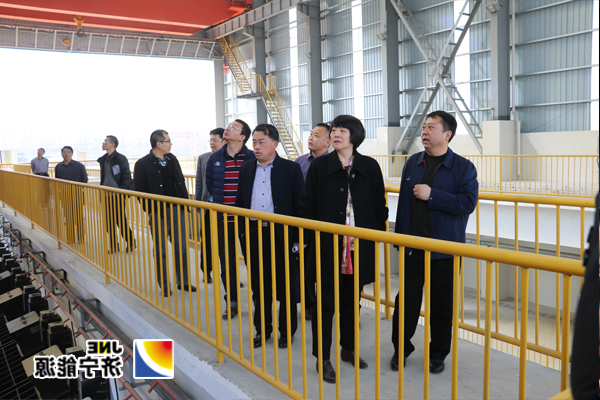 国家发改委综合运输研究所主任罗萍一行到物流公司调研