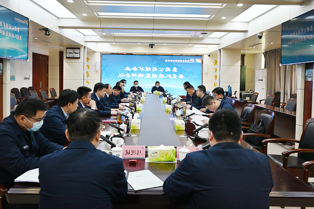 1649940908589903.jpg 11.jpg