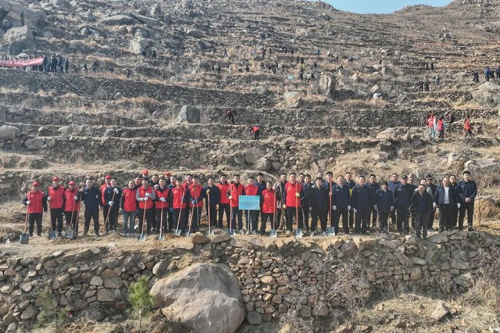 济宁能源开展学雷锋义务植树活动