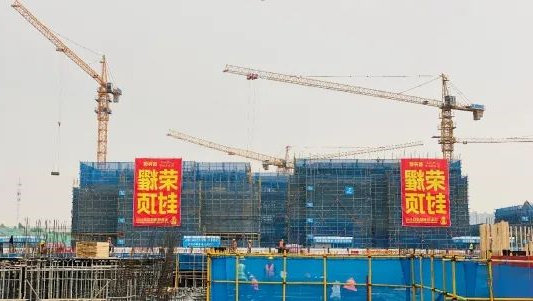 1715138115342532.jpg 003.jpg