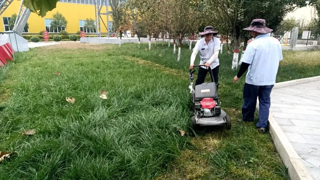 1729343364914898.jpg 0001.jpg