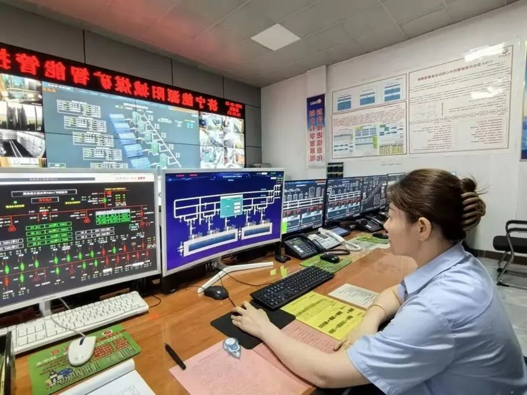 1750301146208015.jpg 05.jpg