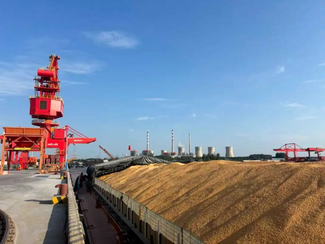 1760948177458030.jpg 04.jpg