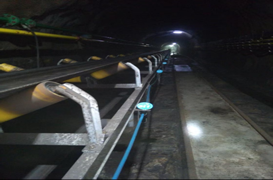 1766731966111602.jpg 01.jpg