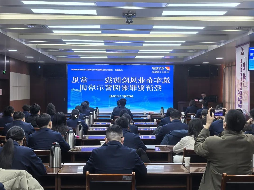 1767316280401056.jpg 02.jpg